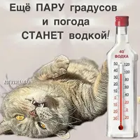 IMG-20260619-WA0007.webp