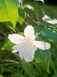 20260621185040.webp