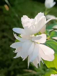 20260621185048.webp