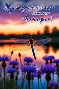 611_195133_519.webp