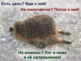 VK_Saved_Photo_ 636223874922628553.webp