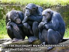 ok-saved-image-2DA2F4802BE93CDD697189D4FC344A9A.webp