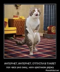 ok-saved-image-44DEC463010AE9BBF87090C419D869BA.webp