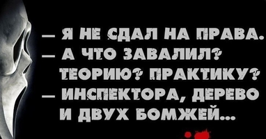 VK_Saved_Photo_ 636231499653300925.webp