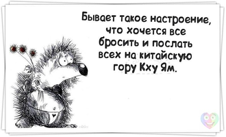 VK_Saved_Photo_ 636232261849175959.webp