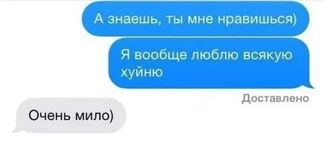 42NWPBO9iCQ.webp
