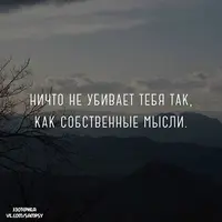 Gf1WHBDmZ_g.webp