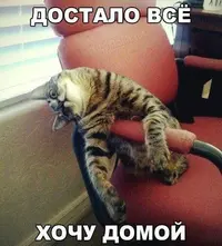 ok-saved-image-6D6840C7EC091E25D68BE3AEF9840786.webp