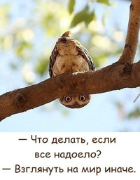 VK_Saved_Photo_ 636239258044467377.webp