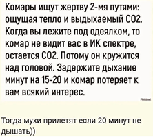 1168.webp