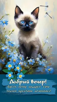 13_161117_735.webp