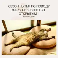 SaveClip.App_720874046_18466340002108410_4874656443689903621_n_640.webp