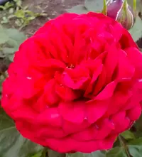 IMG_20260627_165355.webp