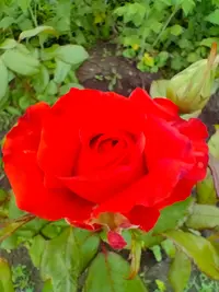 IMG20260627165406.webp