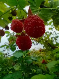 IMG20260627165543.webp
