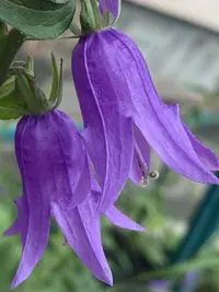 IMG_9380.webp