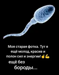 9f06bbd9-239e-4055-a983-25add1b33b65.webp