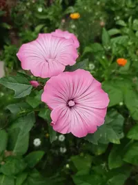 imgonline-com-ua-Resize-MBBcOm1vK07BK.webp