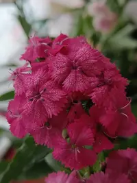 20260627120121.webp