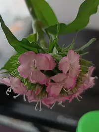 20260627120231.webp