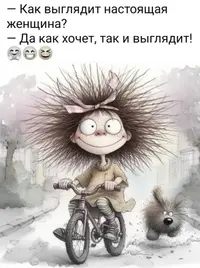 7709.webp