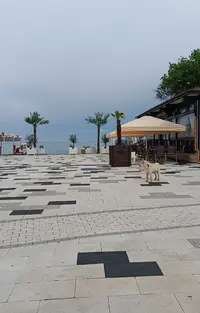 20260630-0934.webp