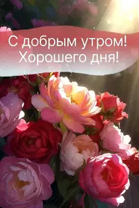 3_084250_734.webp