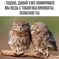 1782851843237.webp