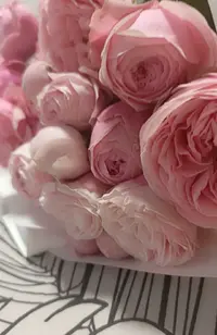 20260704-1014.webp