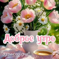 SaveClip.App_732680669_18101123279130859_8257352857530245175_n_640.jpg.webp