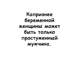 IMG_7953.webp