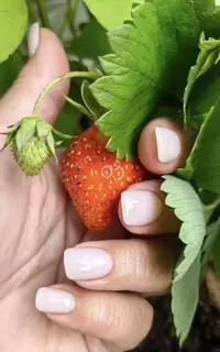 1783512516517.webp
