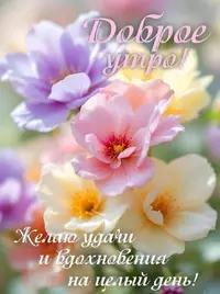 6_142856_806.webp
