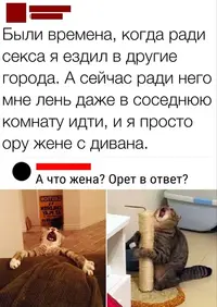 11_085530_332.webp