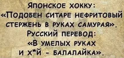 IMG_9508.webp