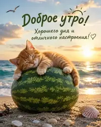 SaveClip.App_750737979_18428117674198278_7622959762223706256_n_640.jpg.webp