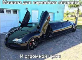 717_184055_455.webp
