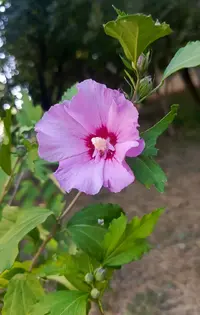 20260721-160933.webp