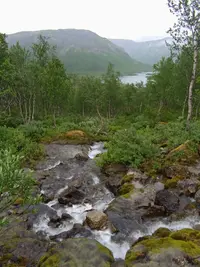 IMG_20260723_122545.webp