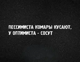 26_131317_272.webp