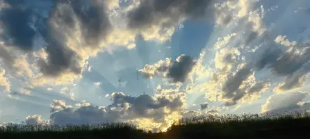 Screenshot_20260724_224250.webp