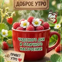 SaveClip.App_751125553_18374380885231591_1826561584388388978_n_640.jpg.webp