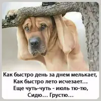 SaveClip.App_751666305_18544793830076206_8080699888928300440_n_640.jpg.webp SaveClip.App_751666305_18544793830076206_8080699888928300440_n_640.jpg.webp