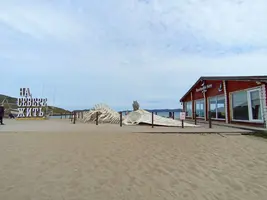 IMG_20260726_104053.webp