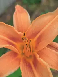 20260724173321.webp