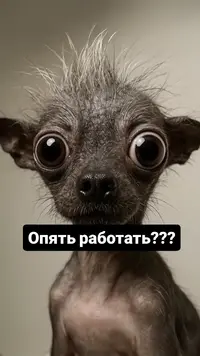 1785122545412.webp