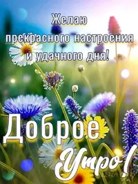 SaveClip.App_755207469_18428635531198278_1804230776108973699_n_640.jpg.webp