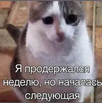 Screenshot_2026-07-27-12-55-47-83_948cd9899890cbd5c2798760b2b95377.webp