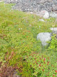 IMG_20260726_131948.webp
