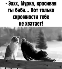 SaveClip.App_760632908_18137874193576597_8267215375228850639_n.webp